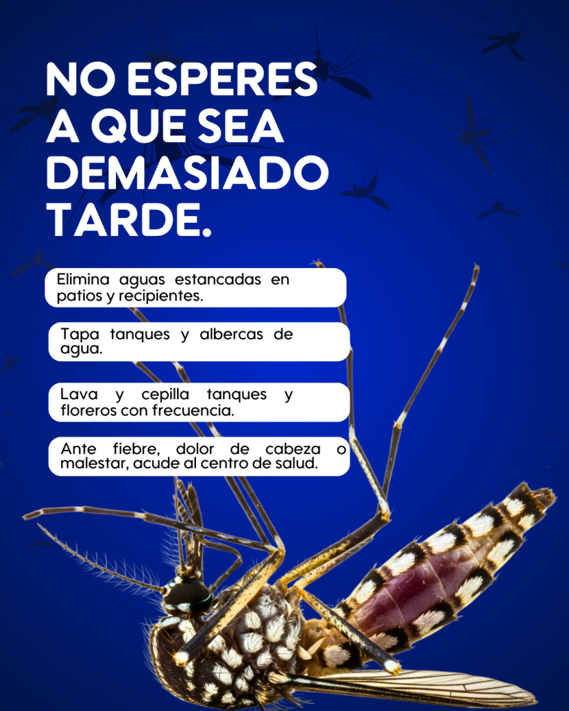 Ante síntomas como fiebre, malestar general o brotes en la piel, busca atención médica oportuna: podría tratarse de dengue. Cuidarte también es una forma de proteger a tu familia y a tu comunidad.